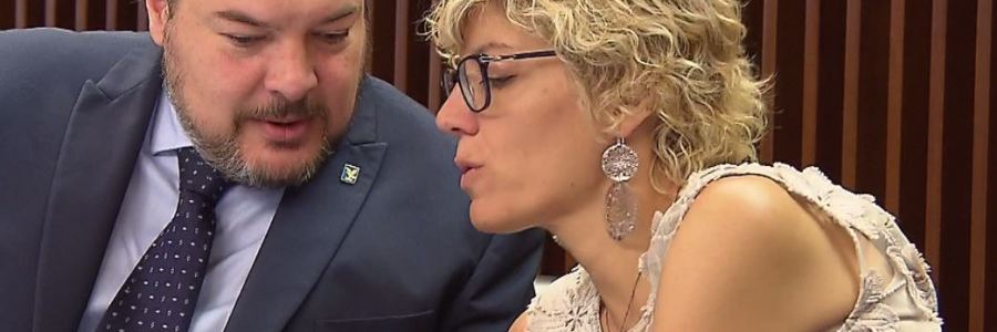 consigliere regionale e assessore alle finanze friuli venezia giulia